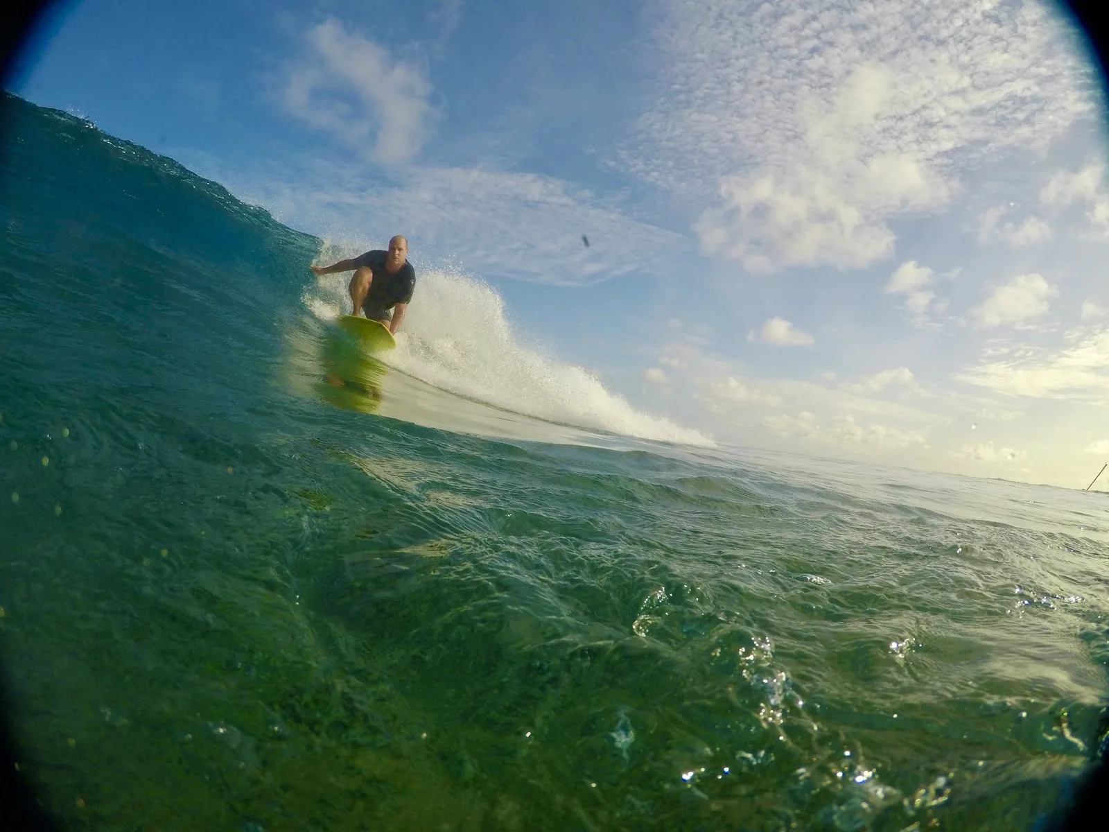 Gato Heroi Acid Drop 7'10 surfboard
